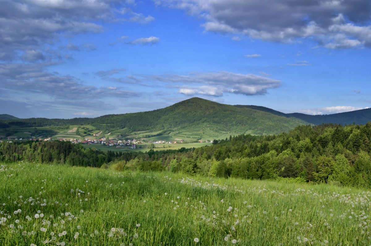 WIDOK NA BESKID MAŁY W TLE GÓRY NA 1 PLANIE TEREN ZIELONY TRAWA Z POLNYMI KWIATAMI  I DRZEWA IGLASTE W ODDALI ZABUDOWANIA DOMÓWM, NIEBIESKIE NIEBO, BIIAŁE CHMURKI. 