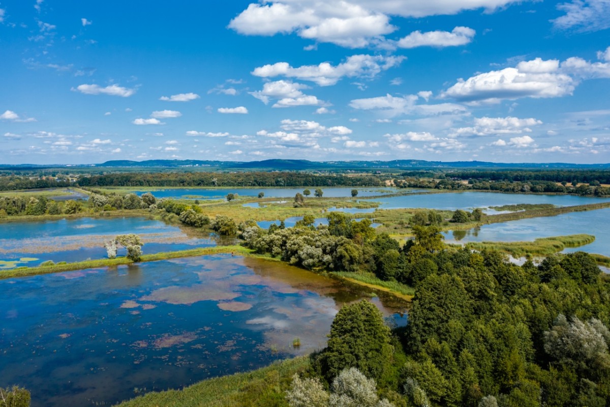 Widok na stawy Monowskie, neibieska woda, kompleks stawów poodzielanych od siebie zielenią , trawy, wokół zielen trawy, drzewa, krzewy, niebieskie niebo w tle widok na góry