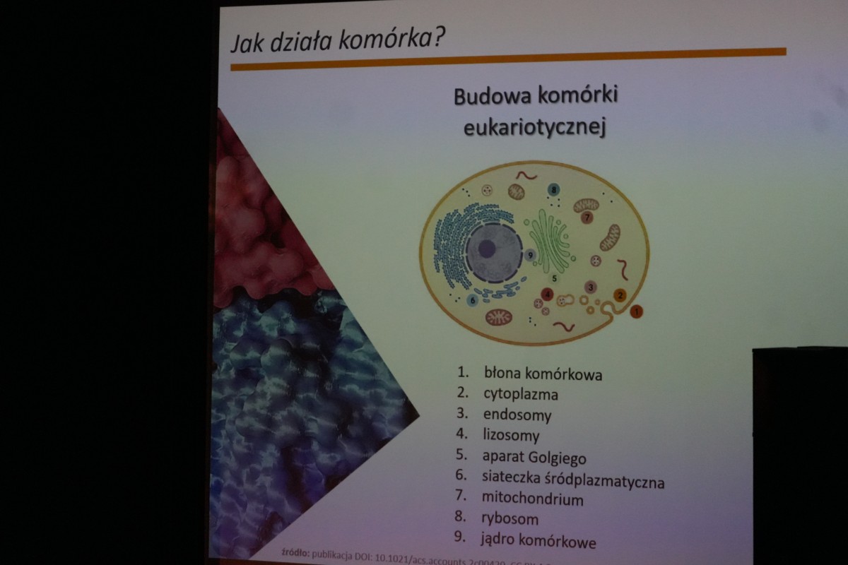 Prezentacja przedstawiajaca budowe komórki w ciele człowieka.