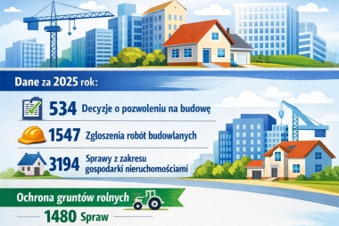 Grafika z danymi 