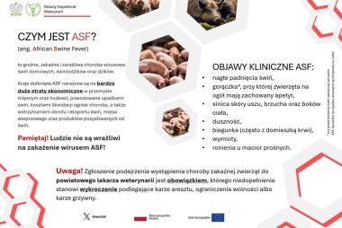 Broszura informacyjna 